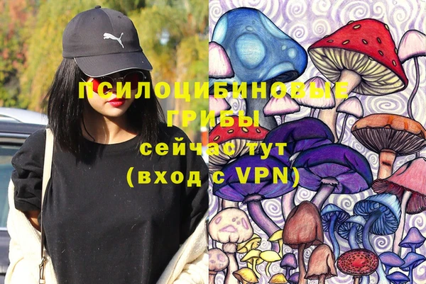 мет Краснослободск