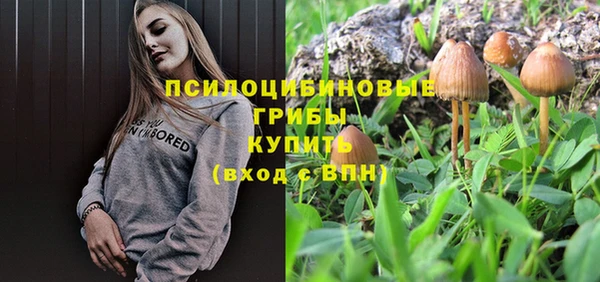 мет Краснослободск