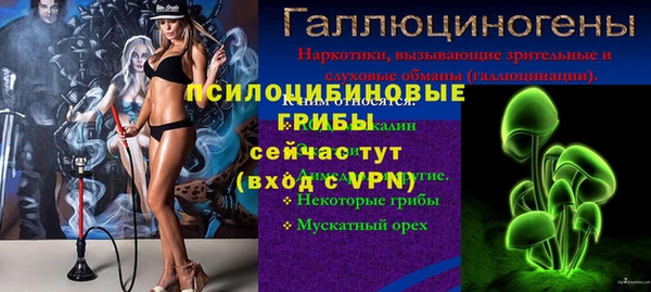сатива Красноперекопск