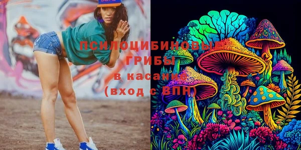 сатива Красноперекопск