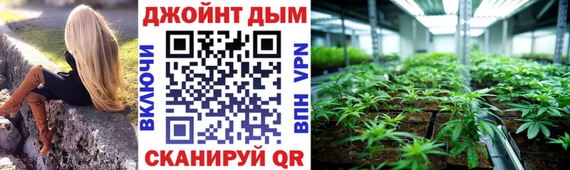 МАРИХУАНА ГИДРОПОН  закладка  Чекалин 